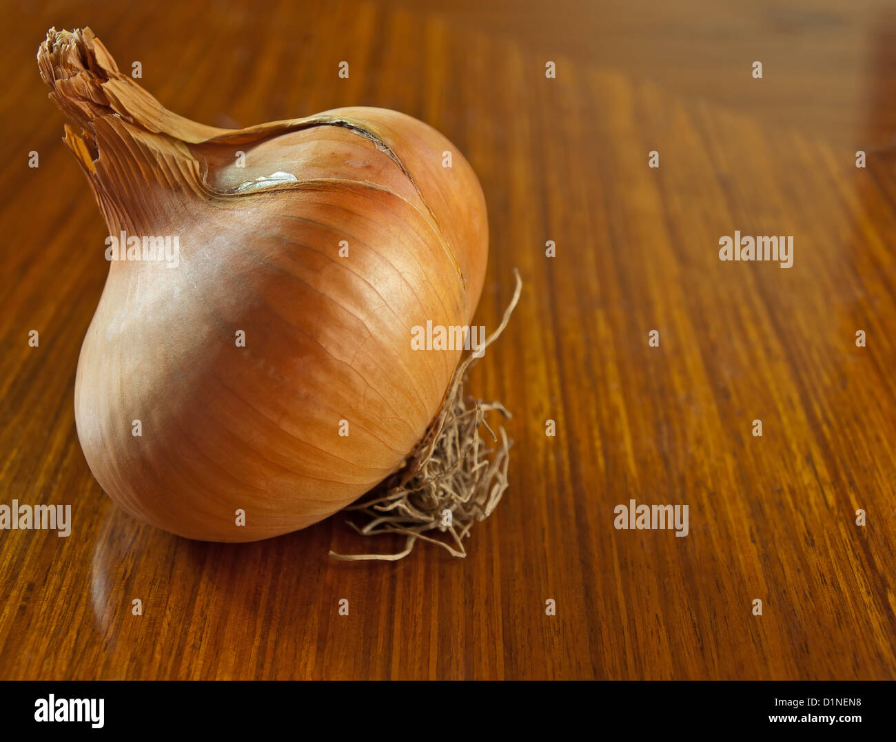 Strong onion hi-res stock photography and images - Alamy