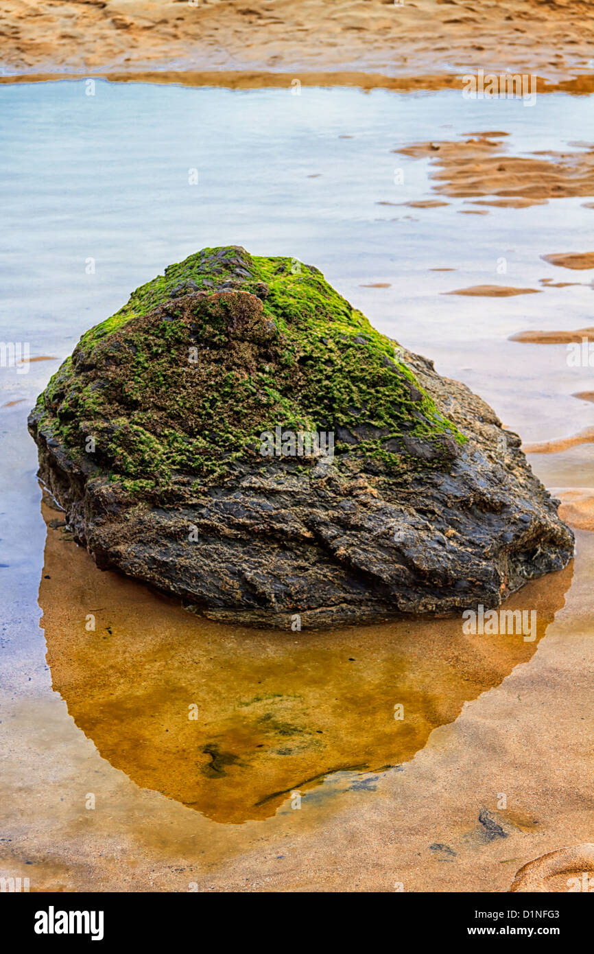 Rock pool, Harlyn Bay, Cornwall, England Stock Photo Alamy