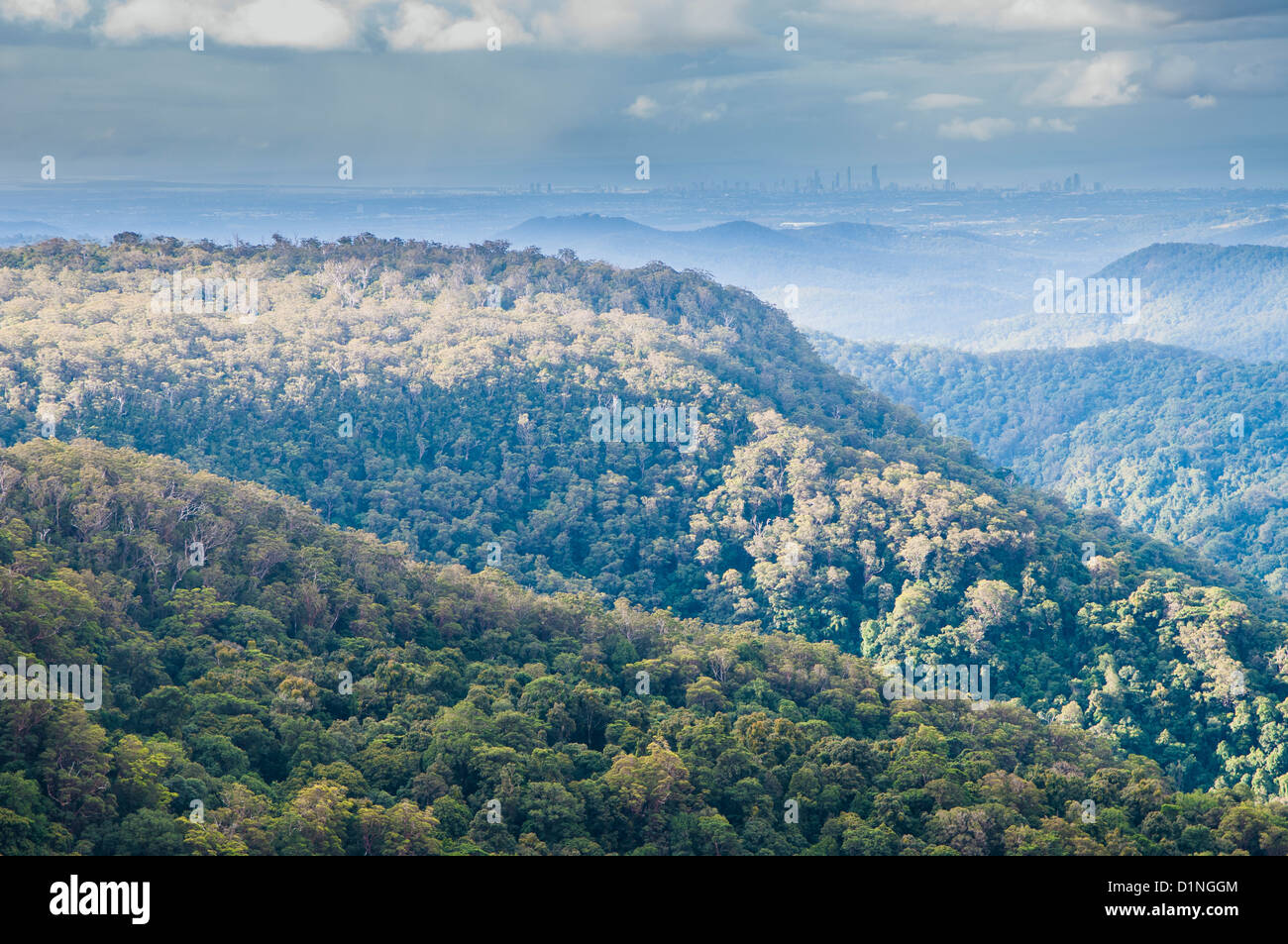 View of Surfers Paradise from Springbrook National Park, Gold Coast