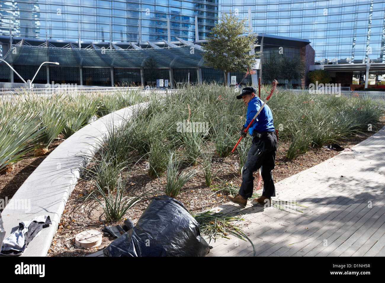 hispanic gardener tending public garden in the citycenter complex Las Vegas Nevada USA Stock Photo