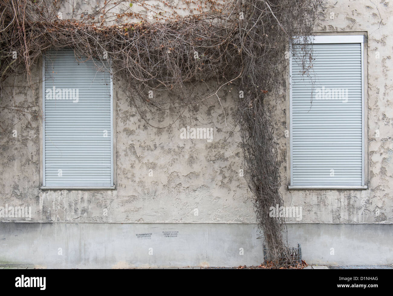 German Windows Roller Shutters and Clematis Stock Photo Alamy