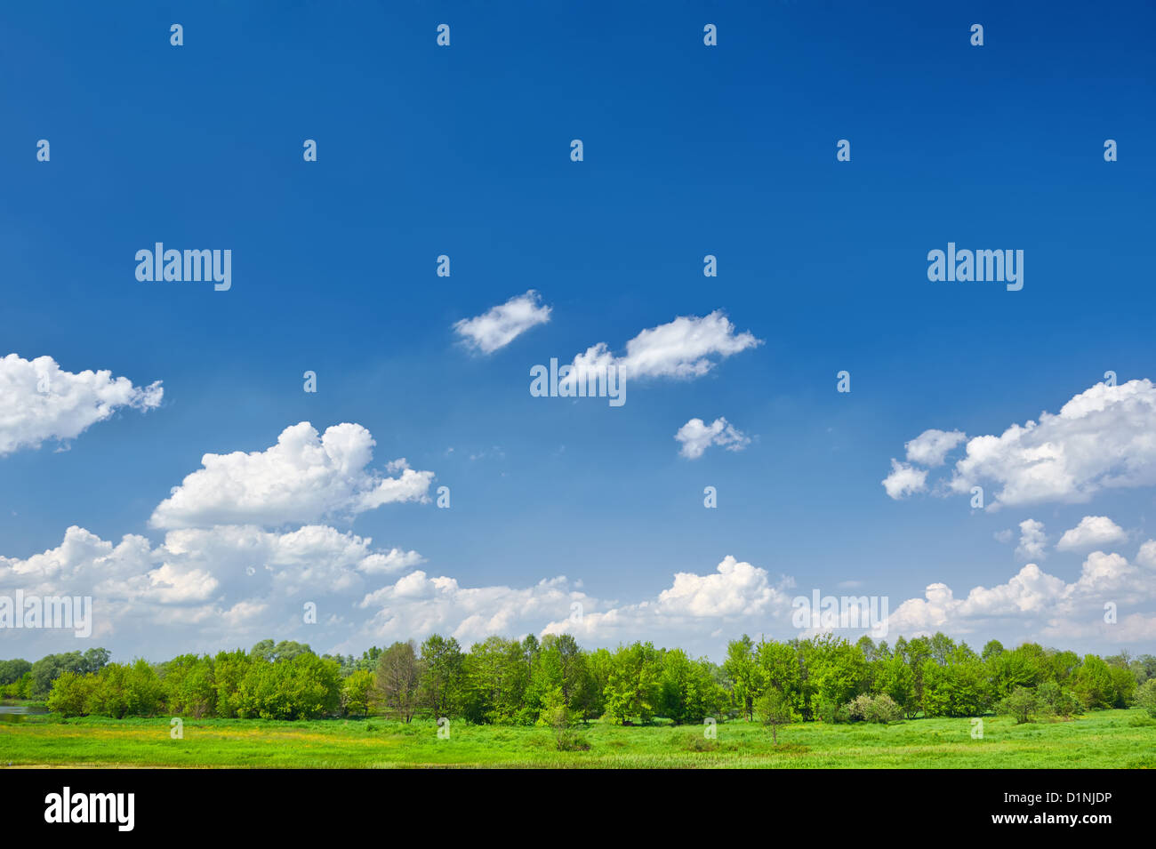 Summer landscape with clouds on the blue sky Stock Photo - Alamy