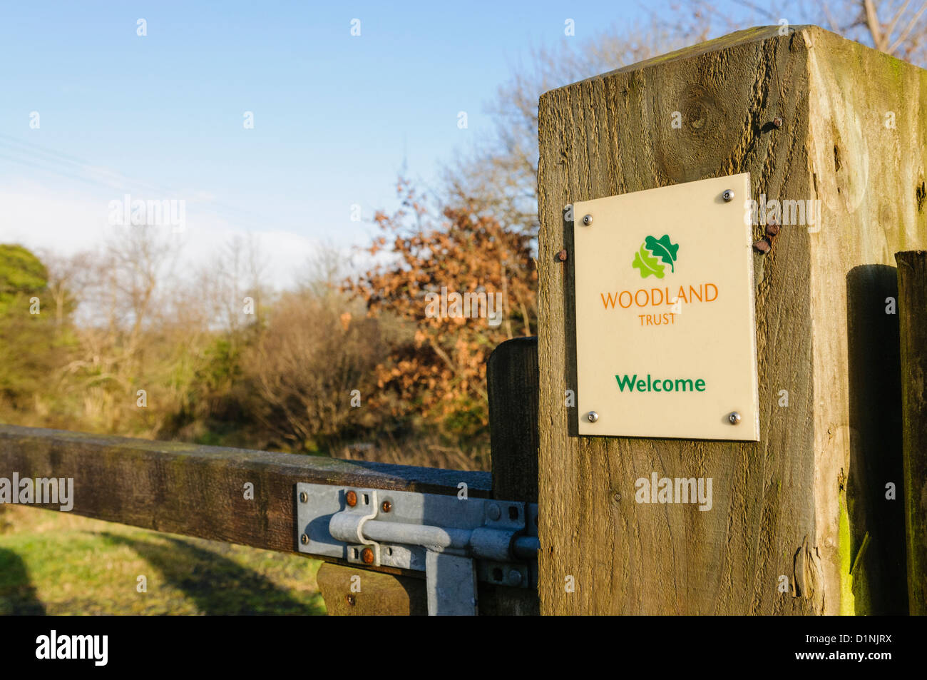 Sign at the entrance of a Woodland Trust maintained forest. Stock Photo