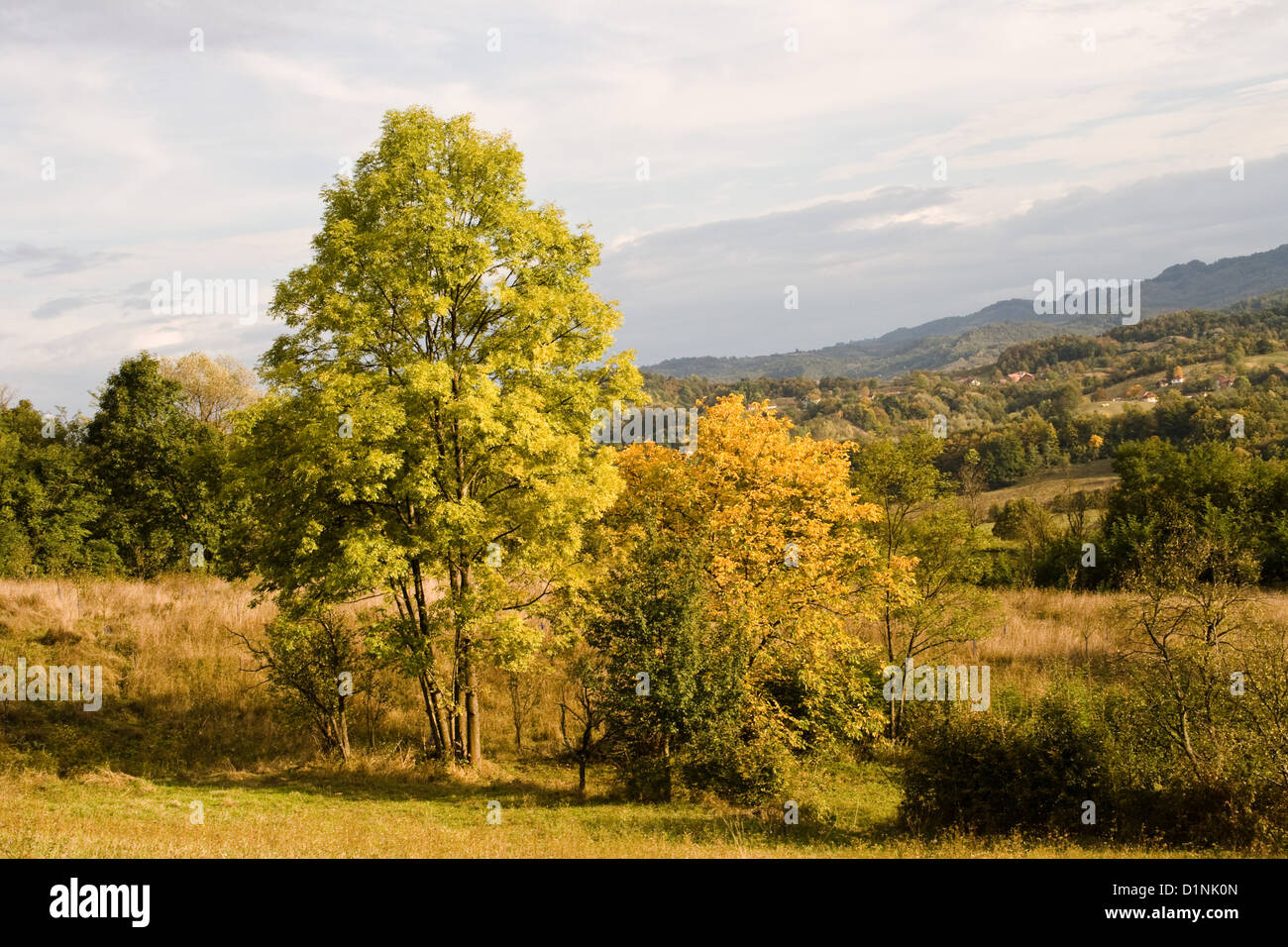 Autumn nature landscape Stock Photo - Alamy