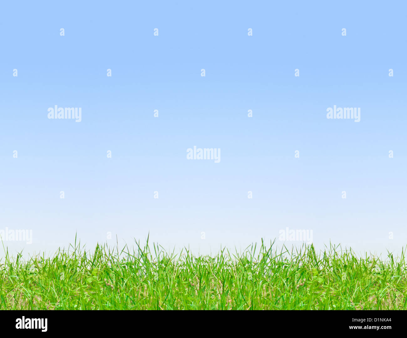 Clear blue sky background with green grass Stock Photo - Alamy