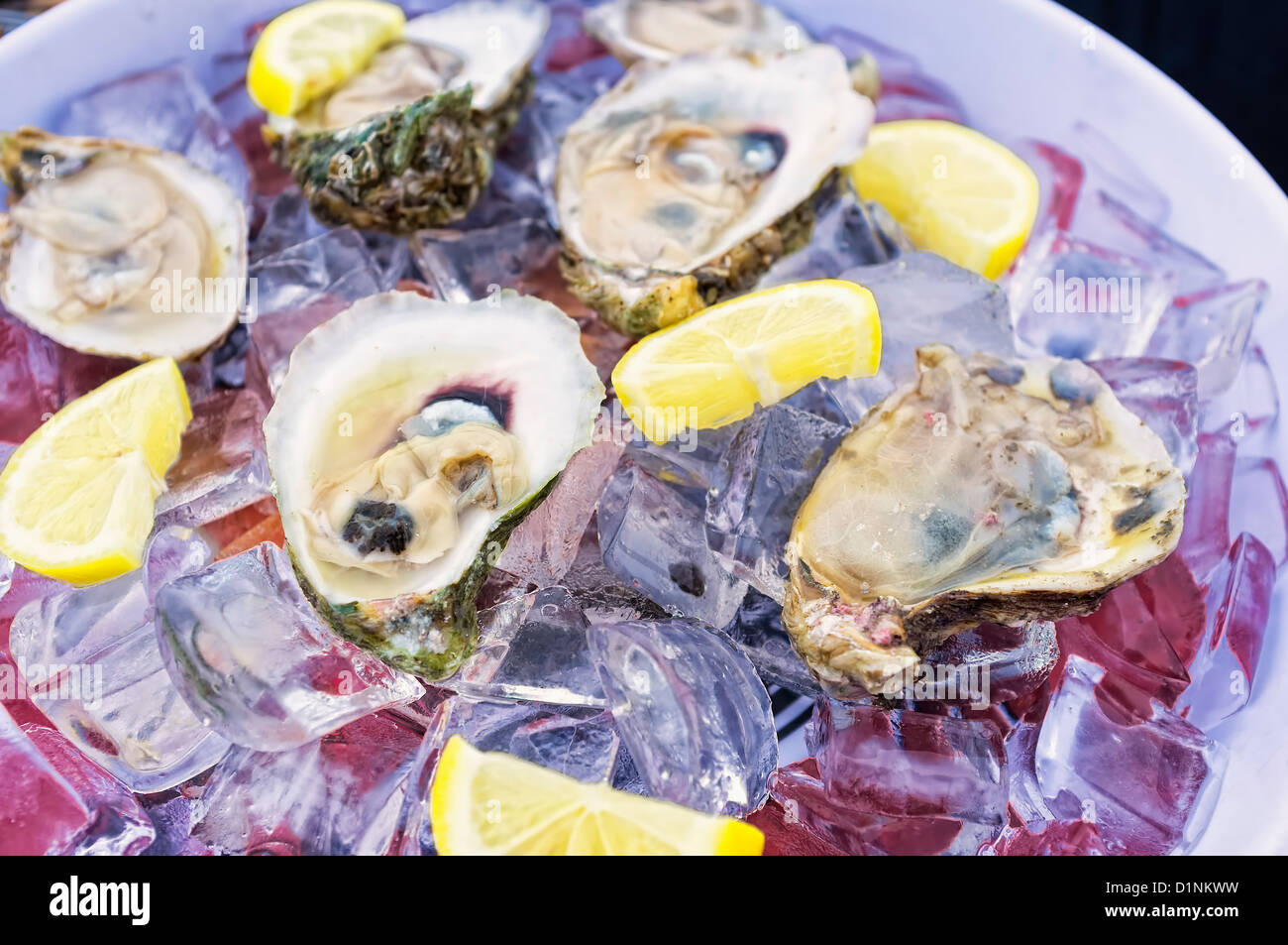 Fresh raw half shell oysters on ice dish, Gulf of Mexico coast, Texas