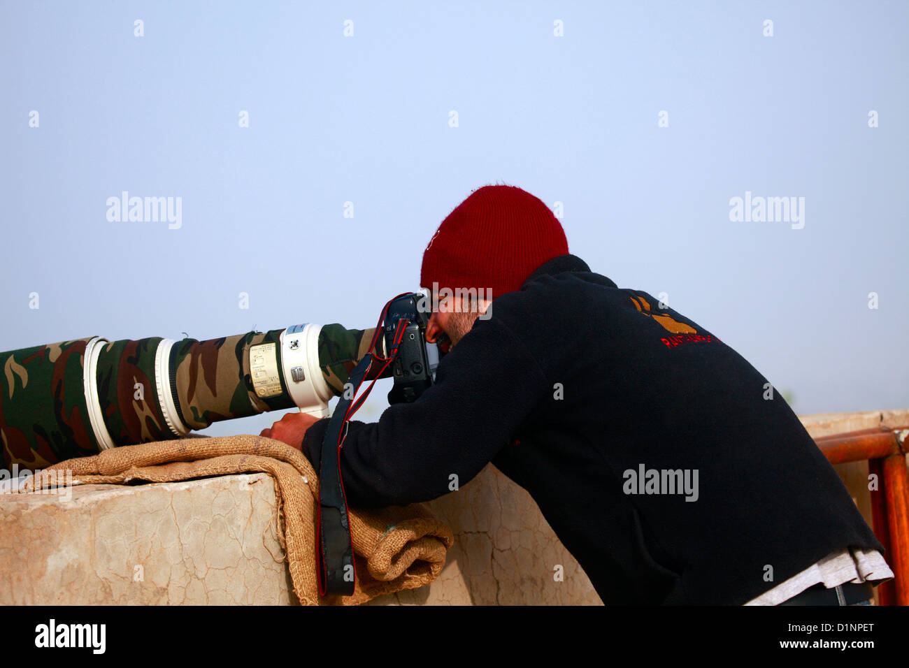 Filming wildlife hi-res stock photography and images - Alamy
