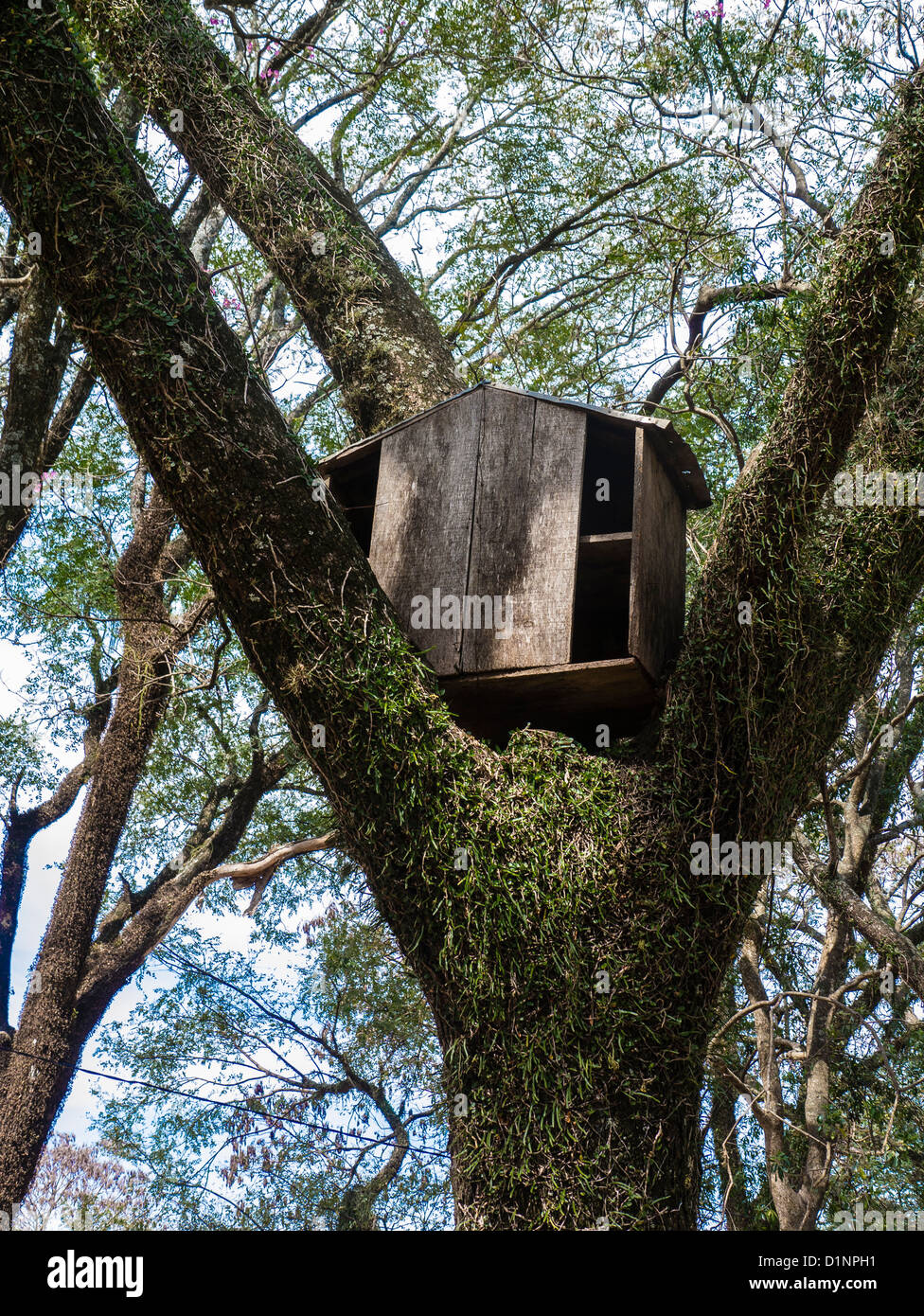 A wooden monkey house made for monkeys that live in a public park in a