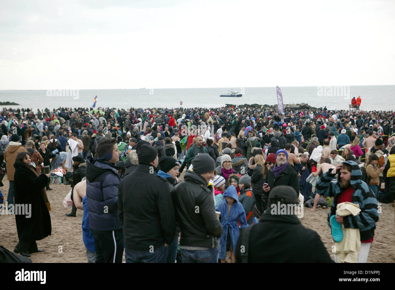 2013 coney island polar bear hi-res stock photography and images - Alamy