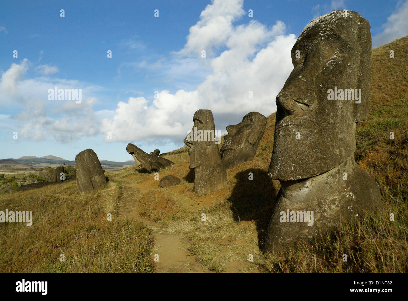 Lake Raraku Moai at Rano Raraku quarry, Easter Island, Chile Stock Photo - Alamy