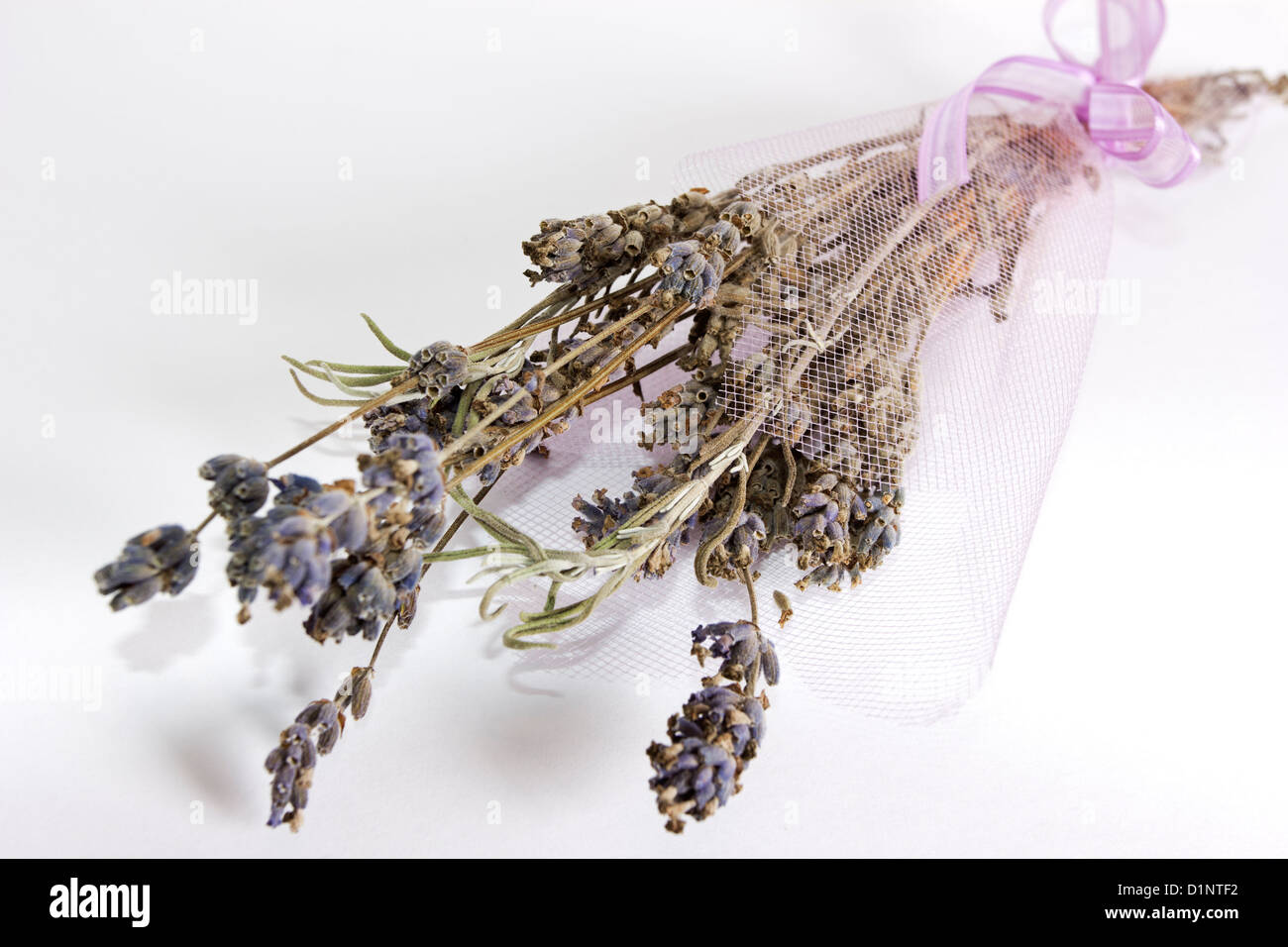 Dry lavender flowers in with a ribbon Stock Photo Alamy