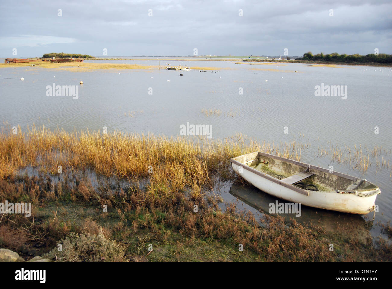 A small rowing boat floats on the rising tide with reeds around it on a cloudy day at Riverside