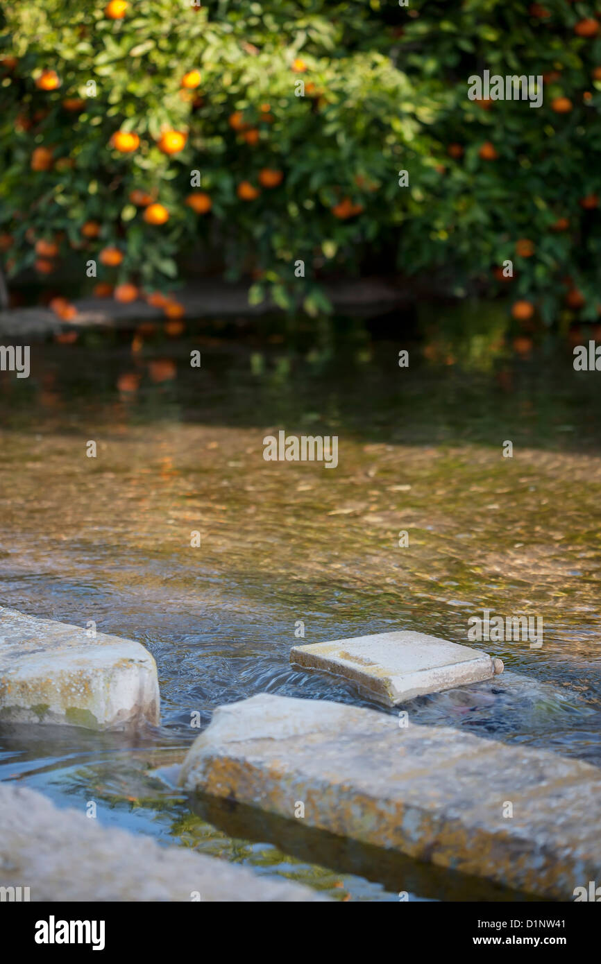Orange Orchard Irrigation High Resolution Stock Photography and Images