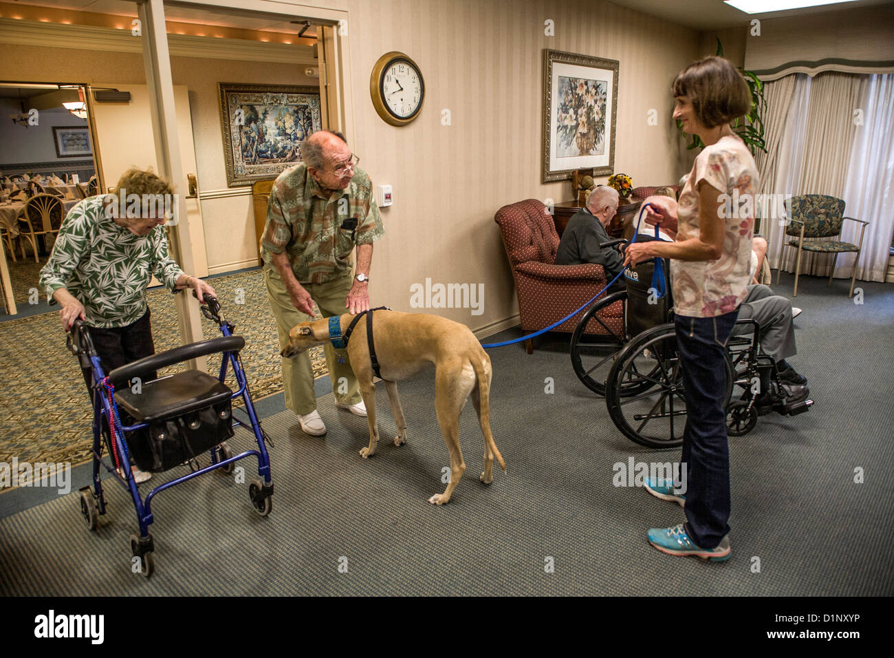 Volunteers bring therapy dogs to a retirement home in Mission Viejo, CA