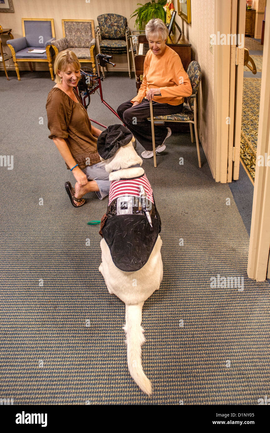 Volunteers bring therapy dogs in Halloween costumes to a retirement