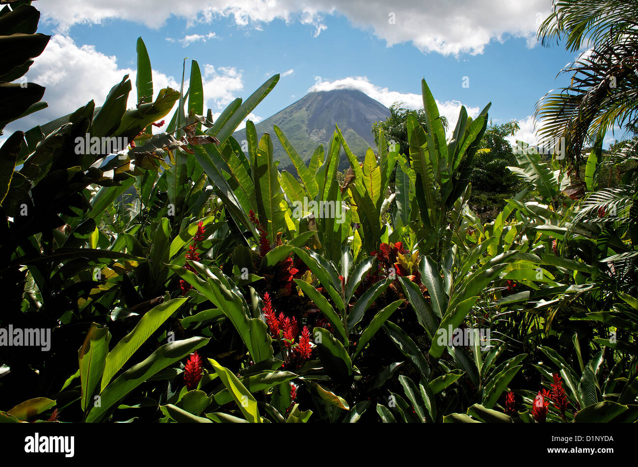 Nayara Hotel, Spa & Gardens, Arenal Volcano, Arenal Volcano National Park, La Fortuna, Alajuela, Costa Rica Stock Photo