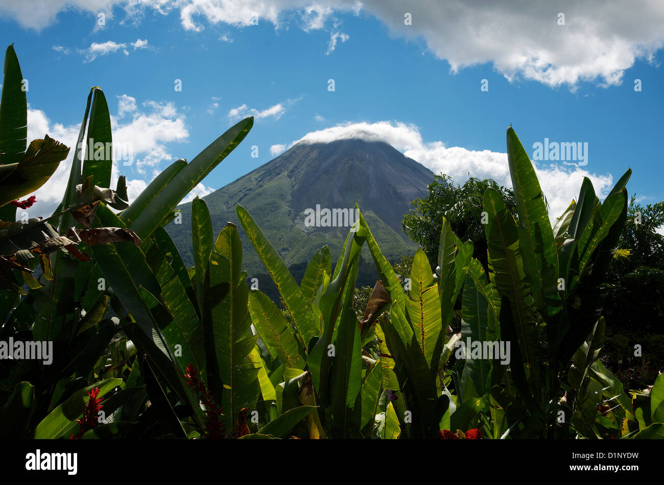 Nayara Hotel Spa Gardens La Fortuna Arenal Volcano Arenal