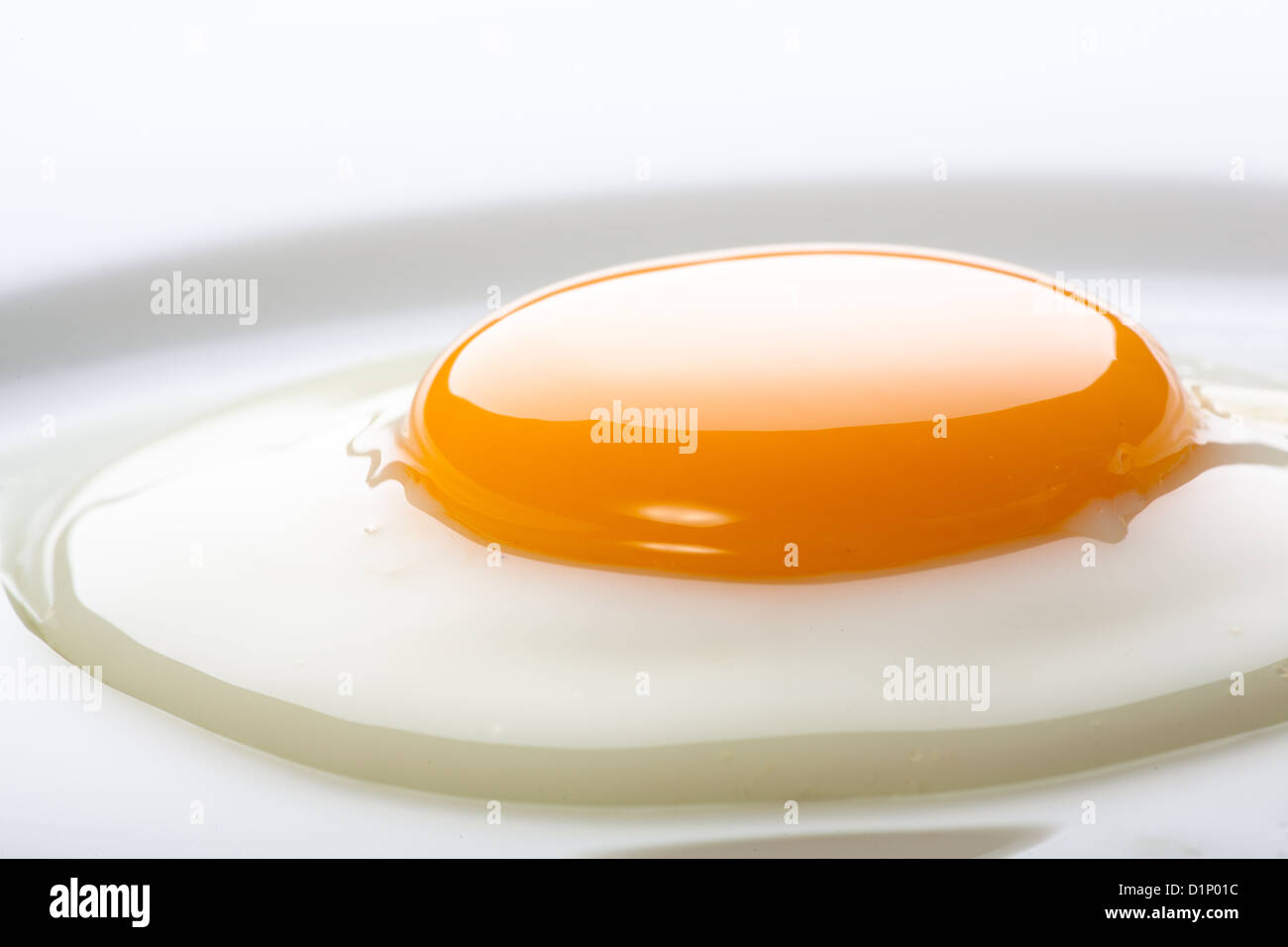 Sunny Egg Stock Photo