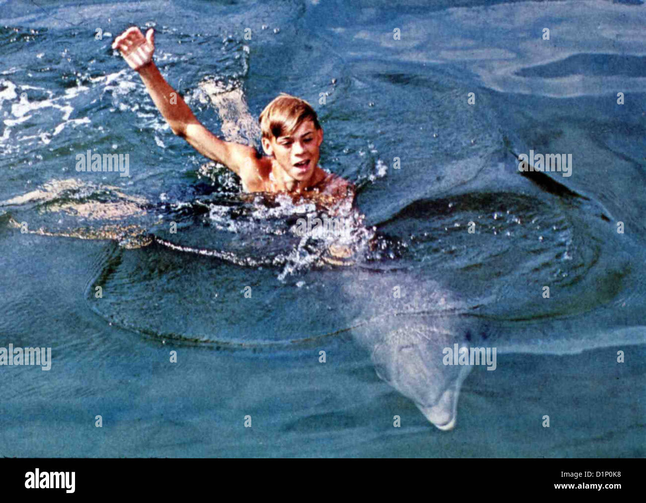 Flipper