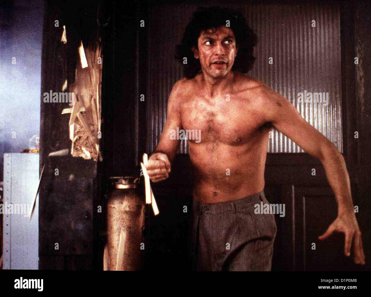 Jeff goldblum the fly hires stock photography and images Alamy