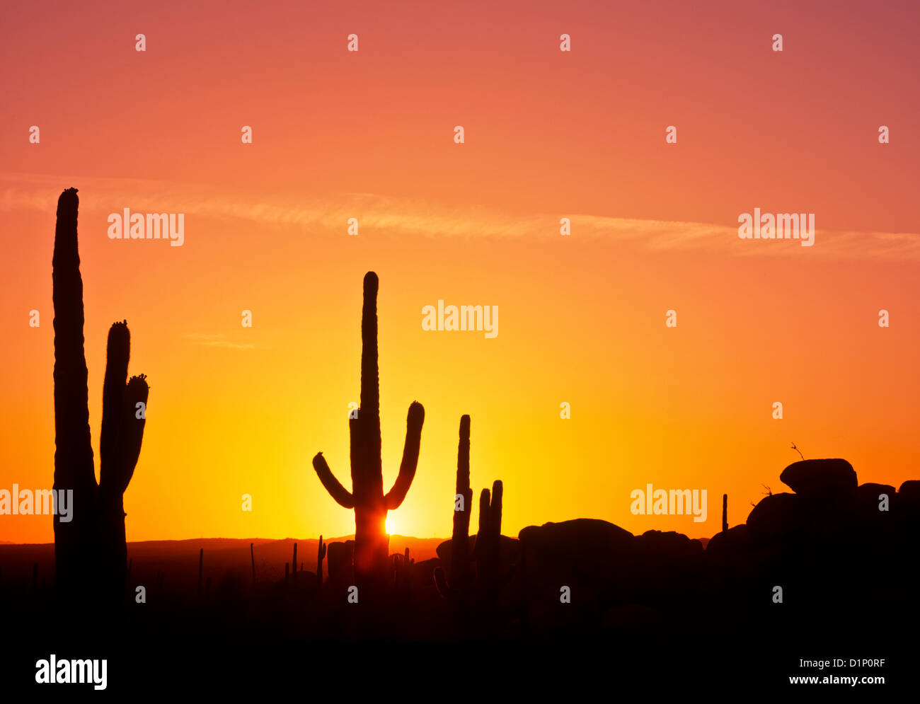 Sonoran desert sunset moon hi-res stock photography and images - Alamy
