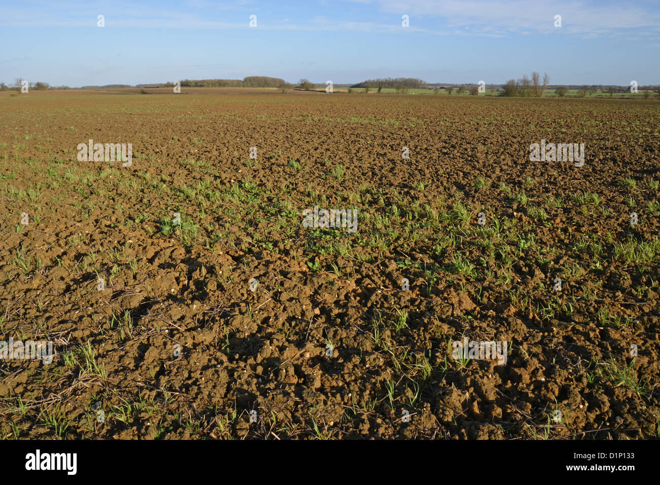 Tilled earth in large field in winter, Ousten, Suffolk, England, United Kingdom Stock Photo