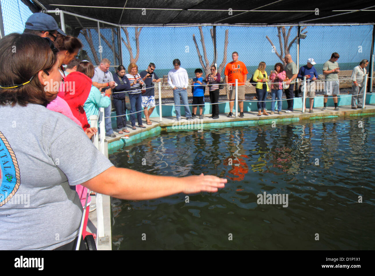 Florida Florida Keys,US highway Route 1 One,Overseas Highway,Vaca Key ...