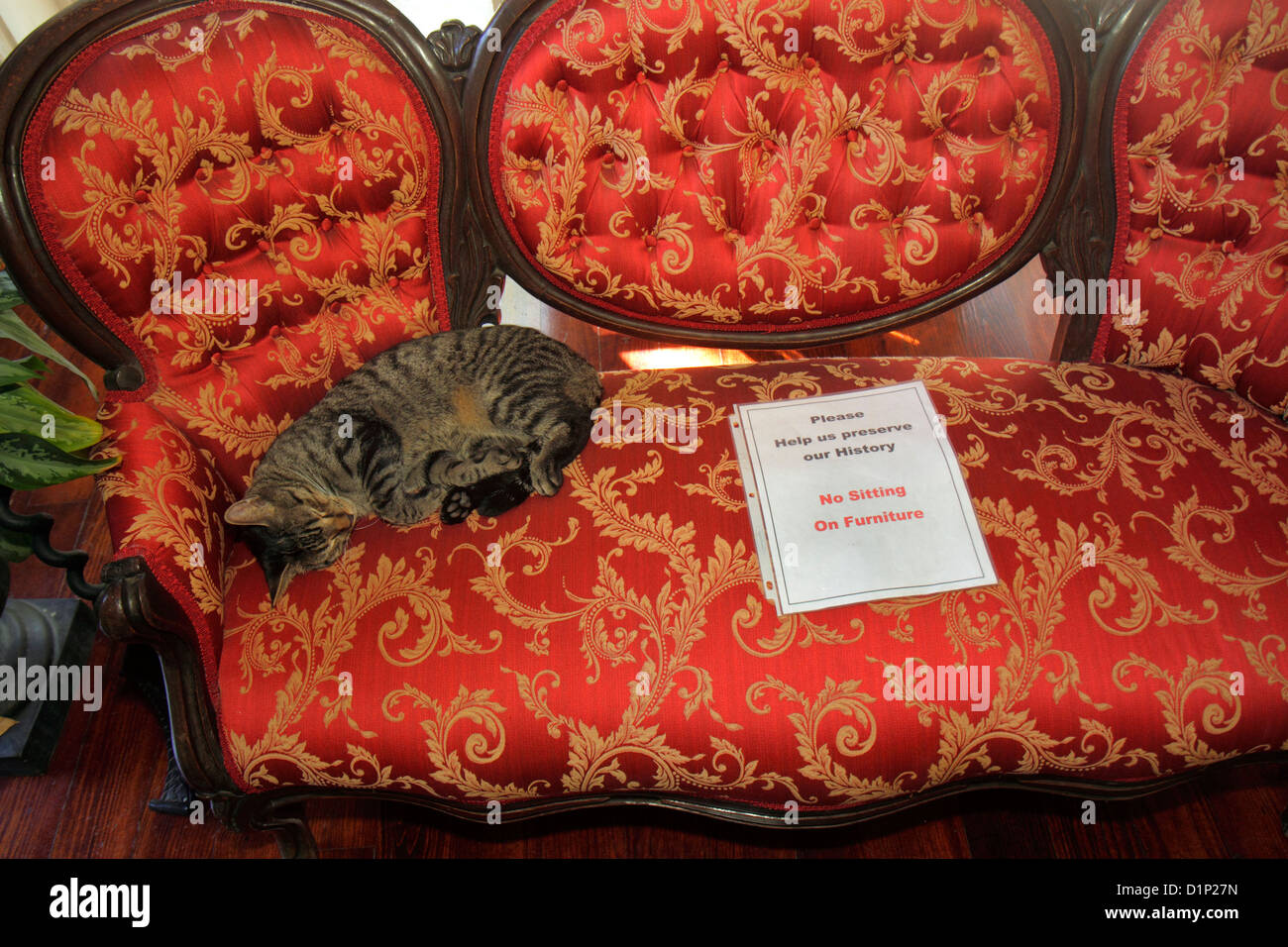 Florida Key West Florida,Keys Whitehead Street,The Ernest Hemingway