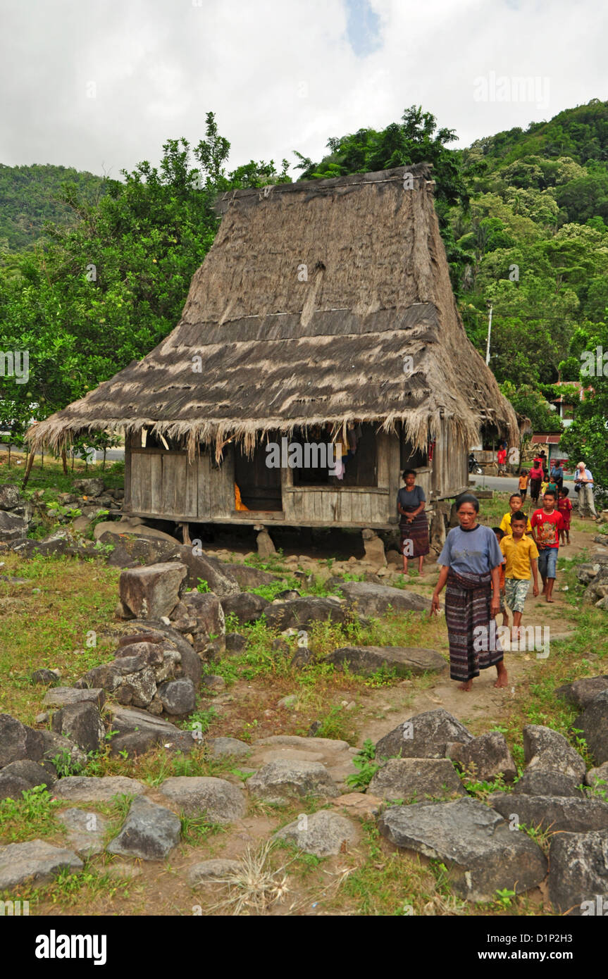 INDONESIA, Flores, Wolowaru, traditional Indonesian buildings with high