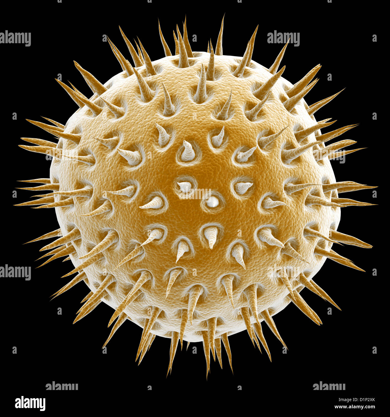 Virus, artwork Stock Photo