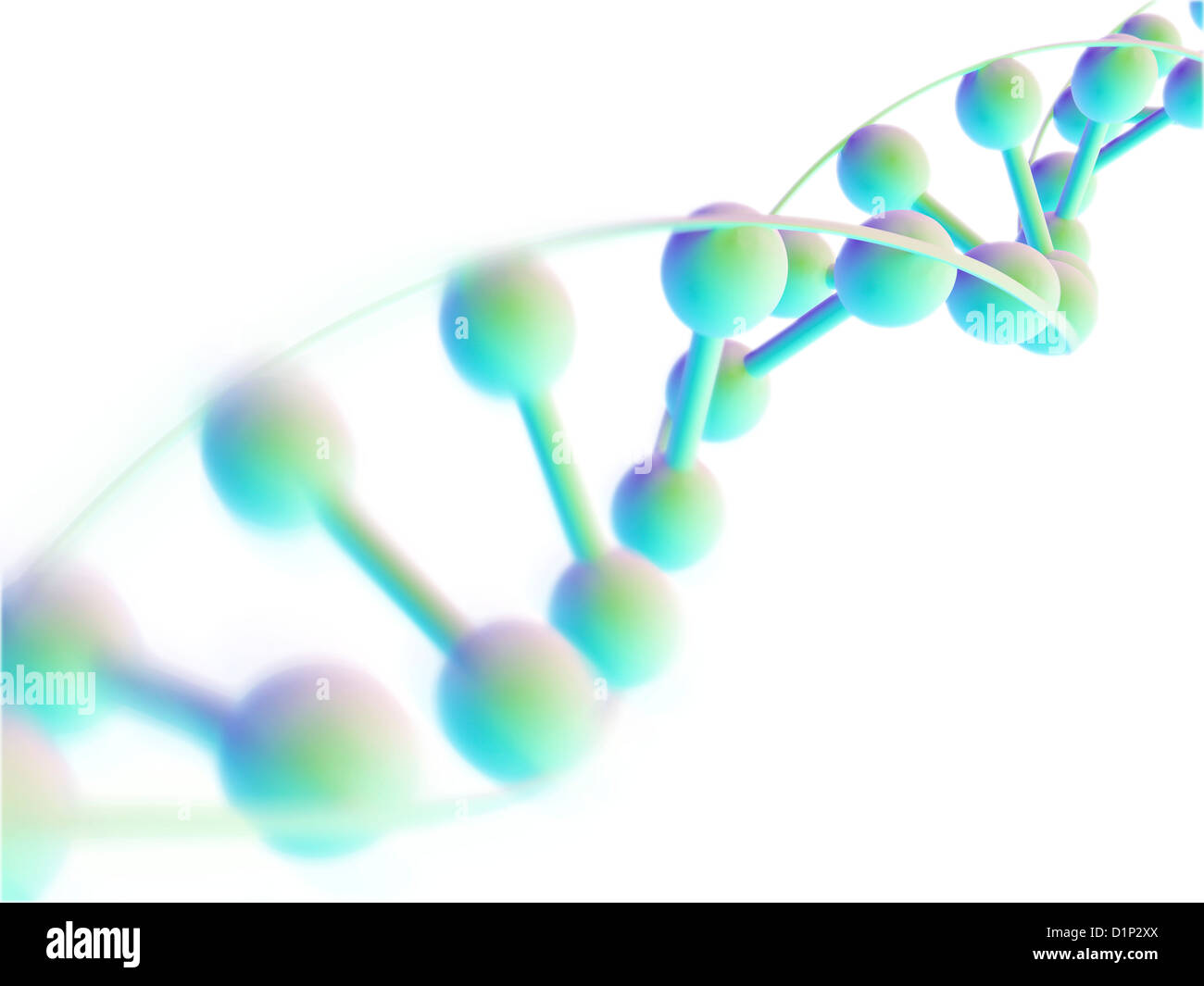 DNA molecule, computer artwork Stock Photo