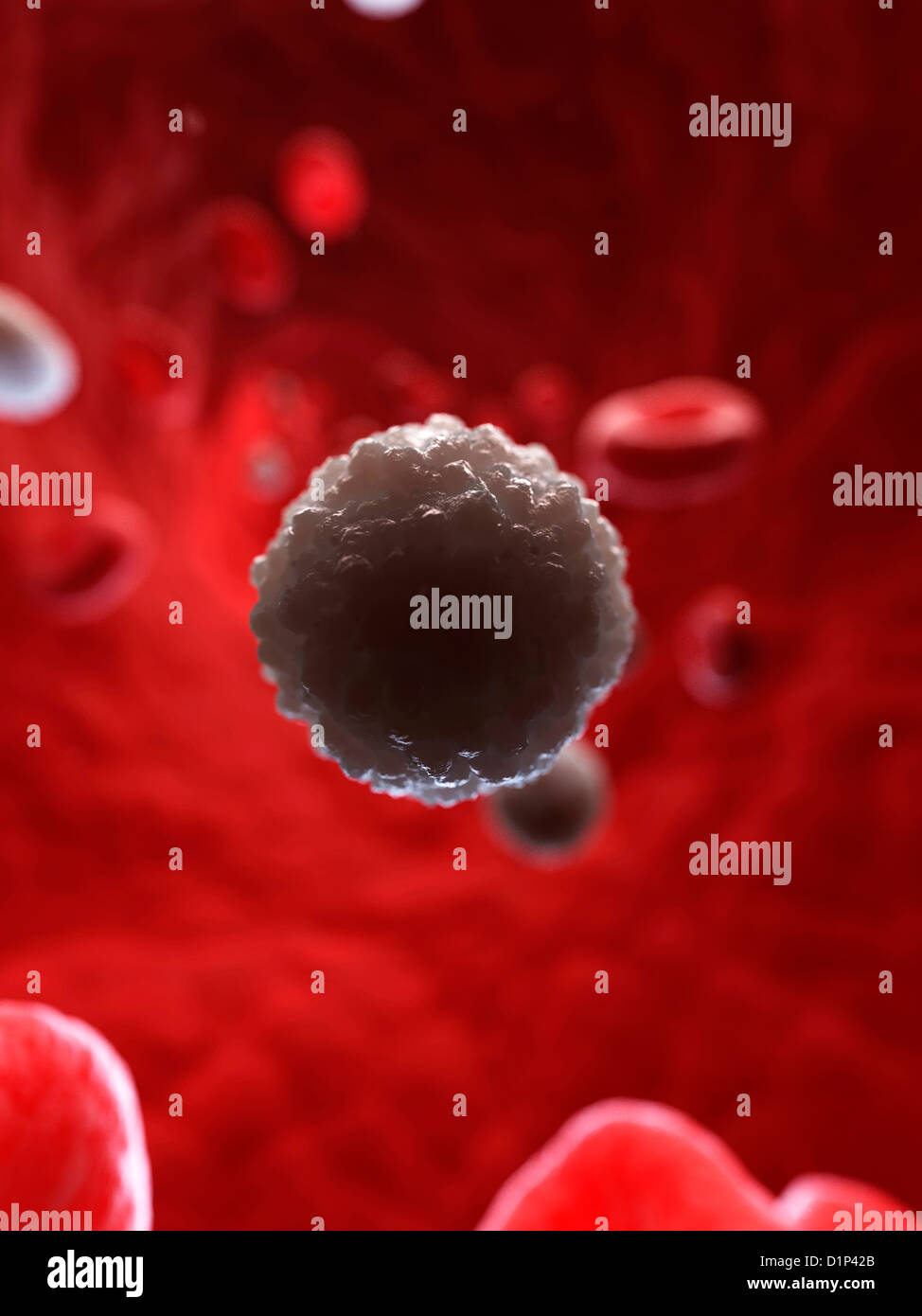 White blood cell, artwork Stock Photo