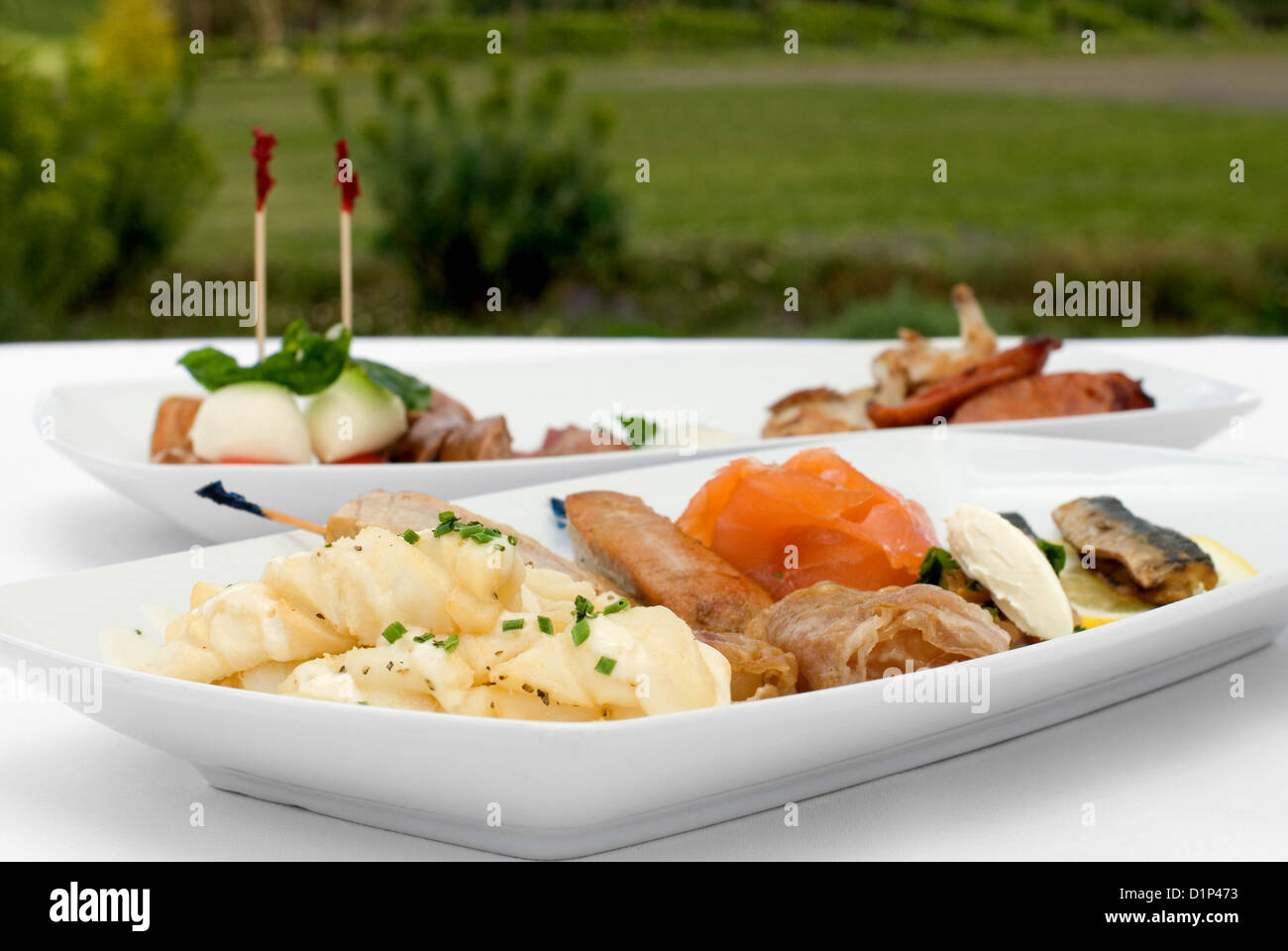 Entree tasting plates containing an assortment of seafood and meats Stock Photo