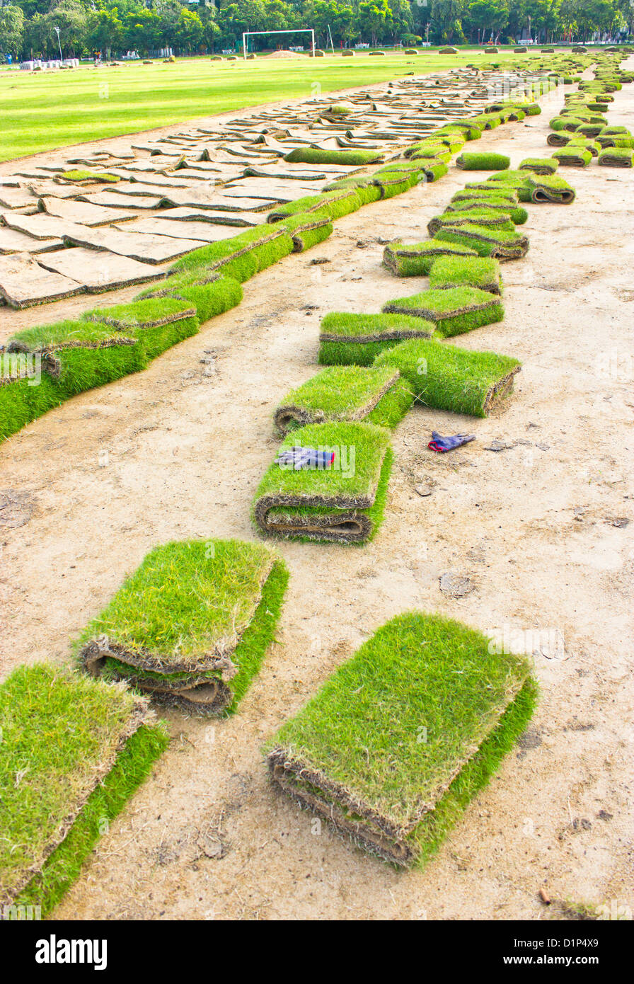 Blue gloves on rolls of green grass, laying in progress. Stock Photo