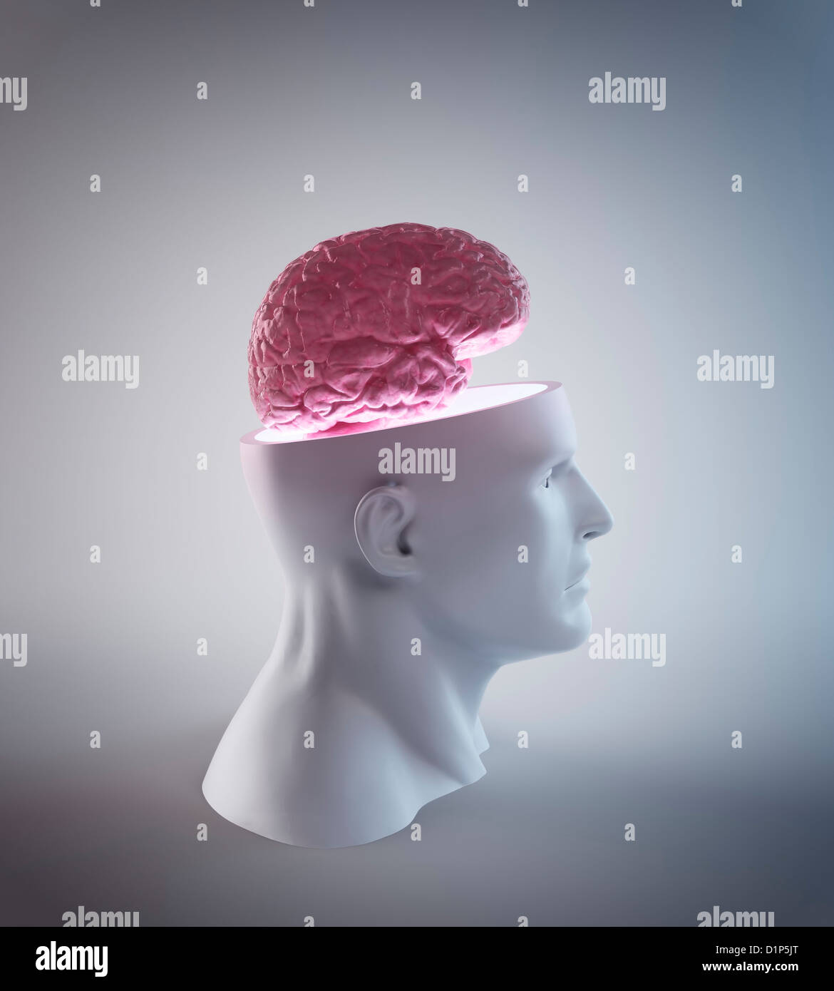 Human brain artwork hi-res stock photography and images - Alamy