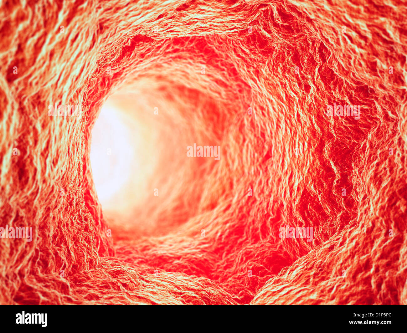 Blood vessel interior, artwork Stock Photo