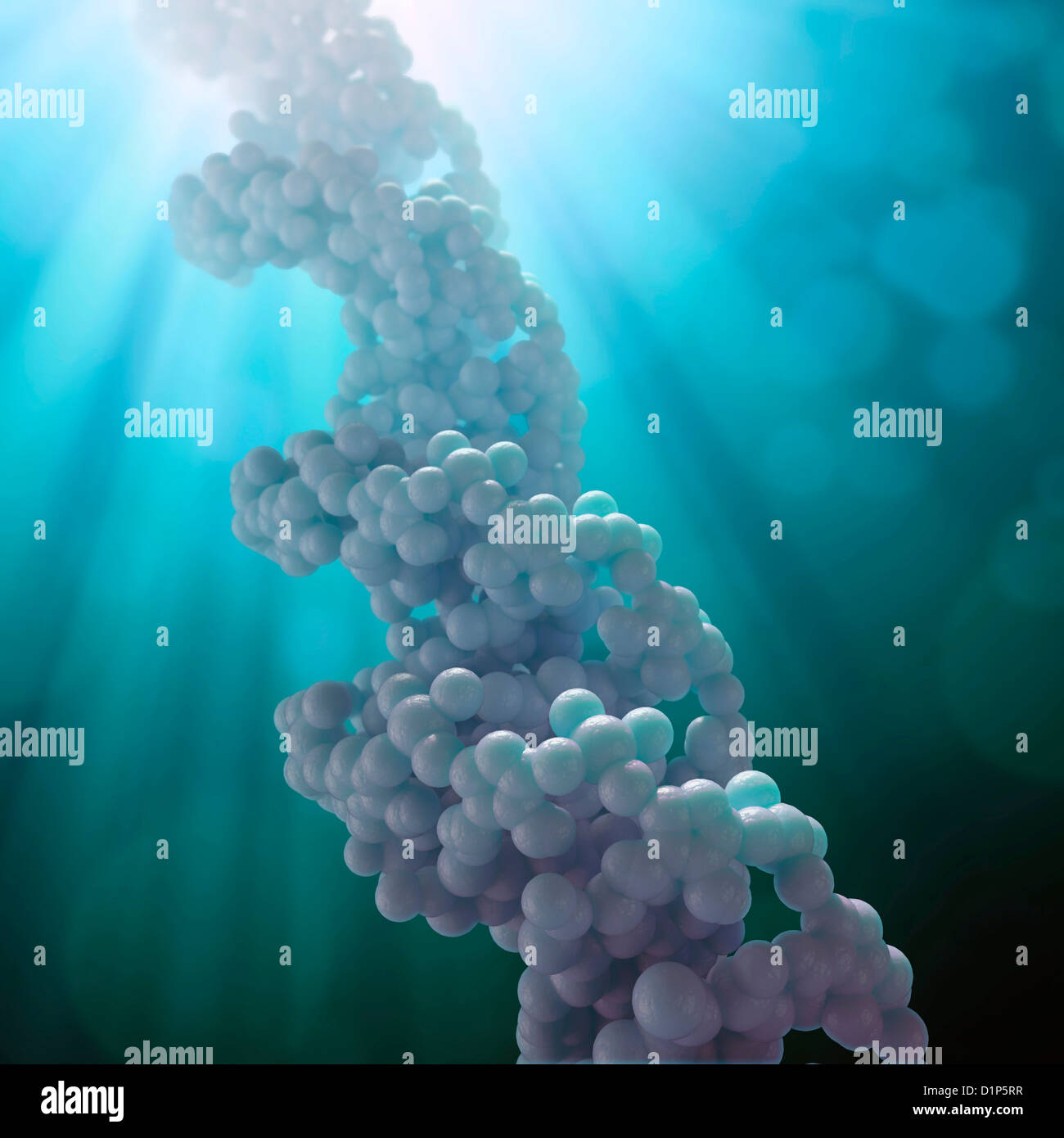 DNA molecule, artwork Stock Photo