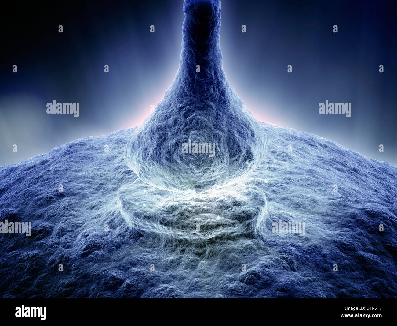 Nerve cell artwork science hi-res stock photography and images - Alamy