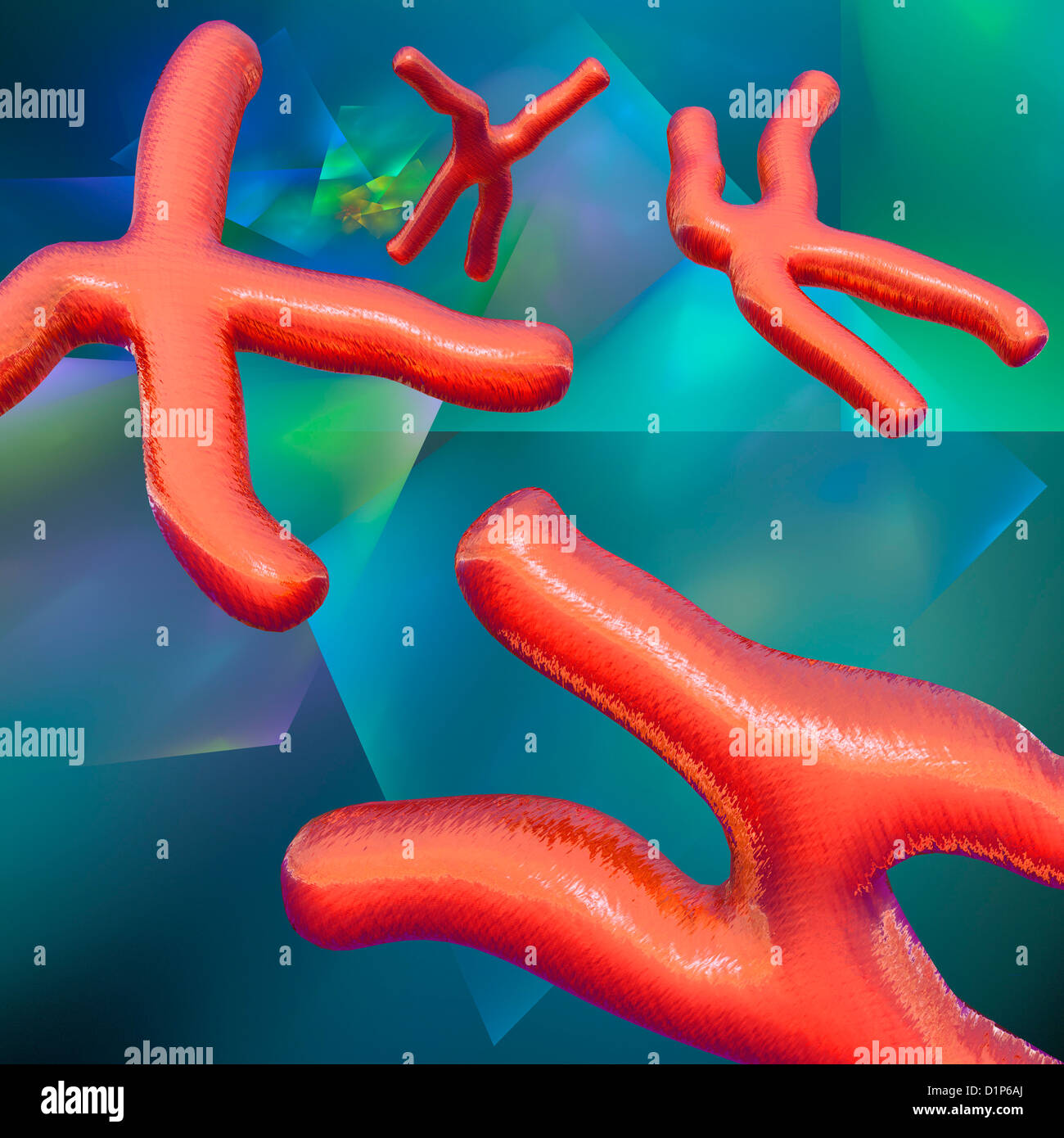 Human chromosomes pair hi-res stock photography and images - Alamy
