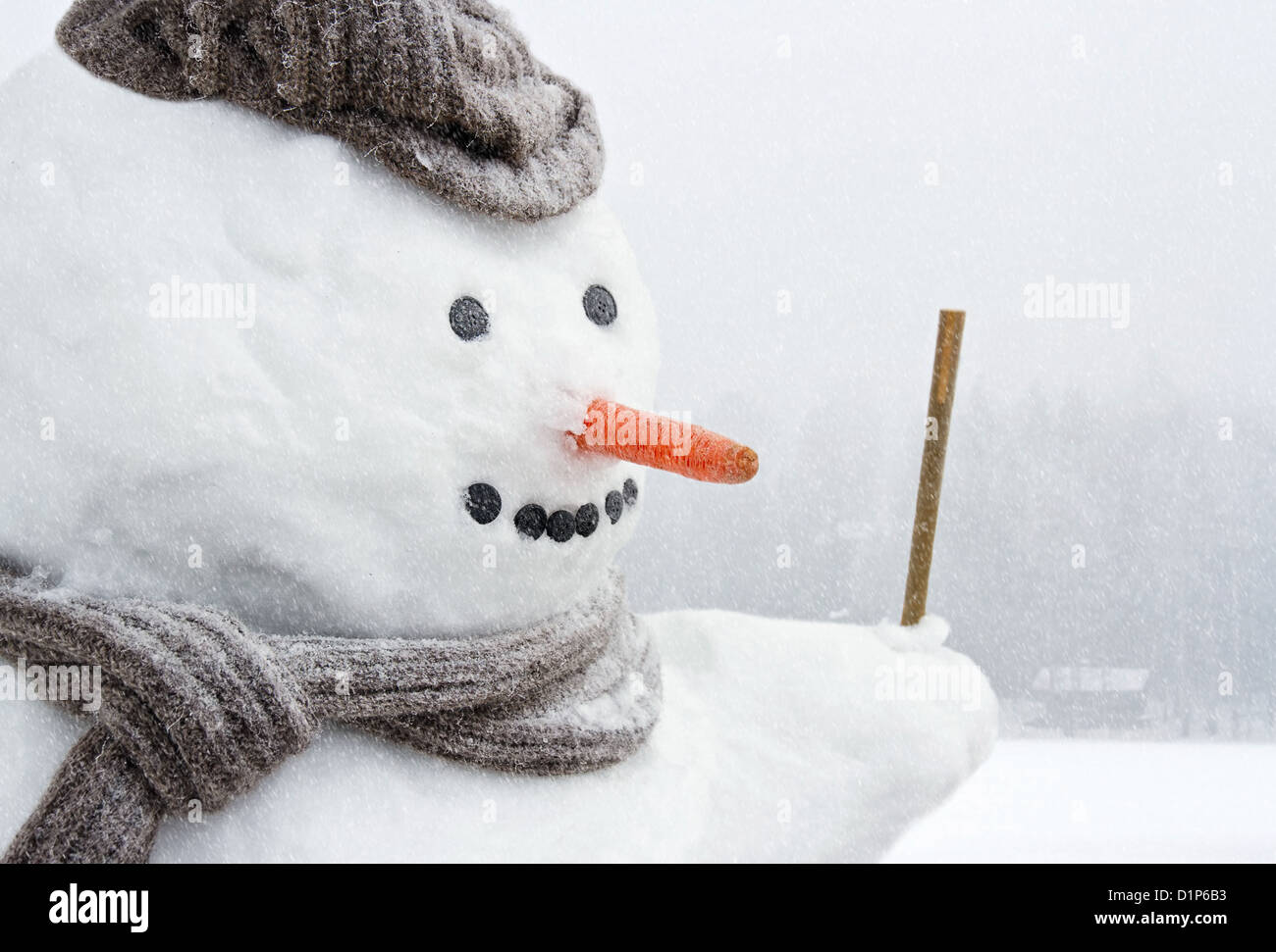 что символизирует морковка у снеговика