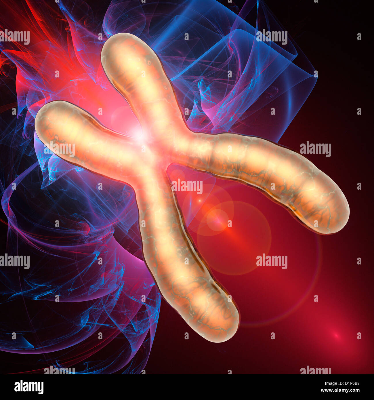 Chromosome pairing hi-res stock photography and images - Alamy