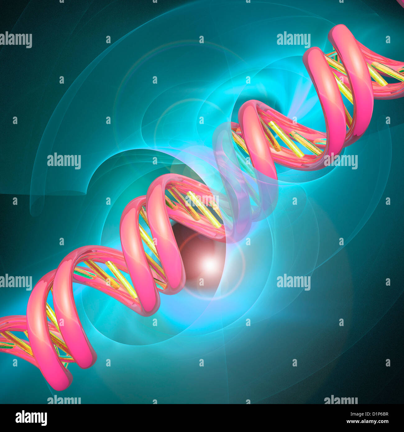 DNA molecule, artwork Stock Photo - Alamy
