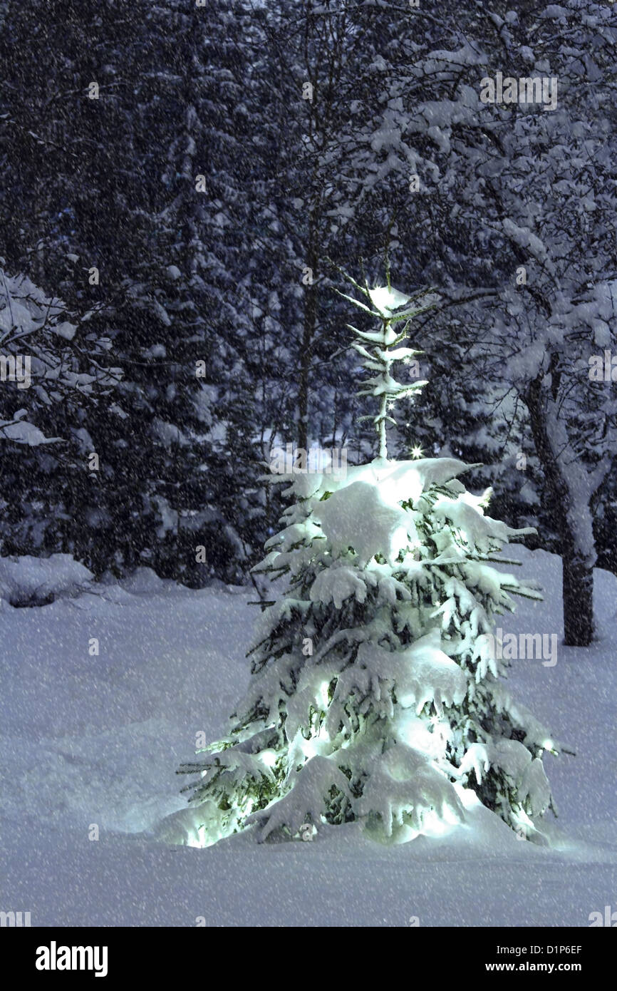 Outdoors Christmas tree with lights in winter snowfall Stock Photo
