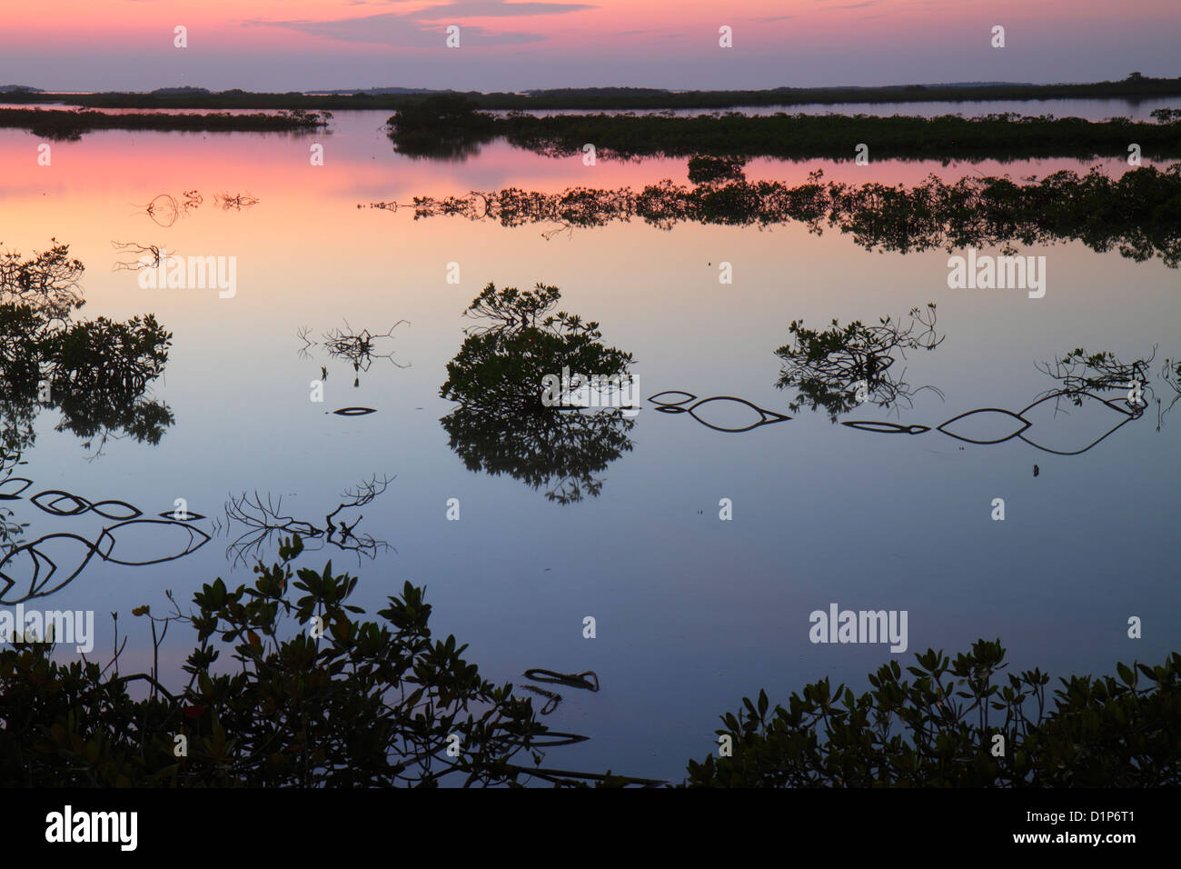 Florida Florida Keys,US highway Route 1 One,Overseas Highway,Key West,Saddlebunch Keys,mangrove,water,Gulf of Mexico Coast,dusk,sunset,scenic,natural, Stock Photo