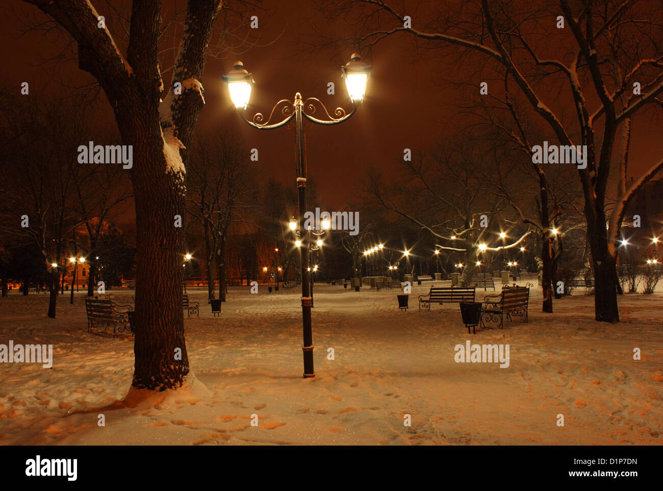 view on park at winter night Stock Photo