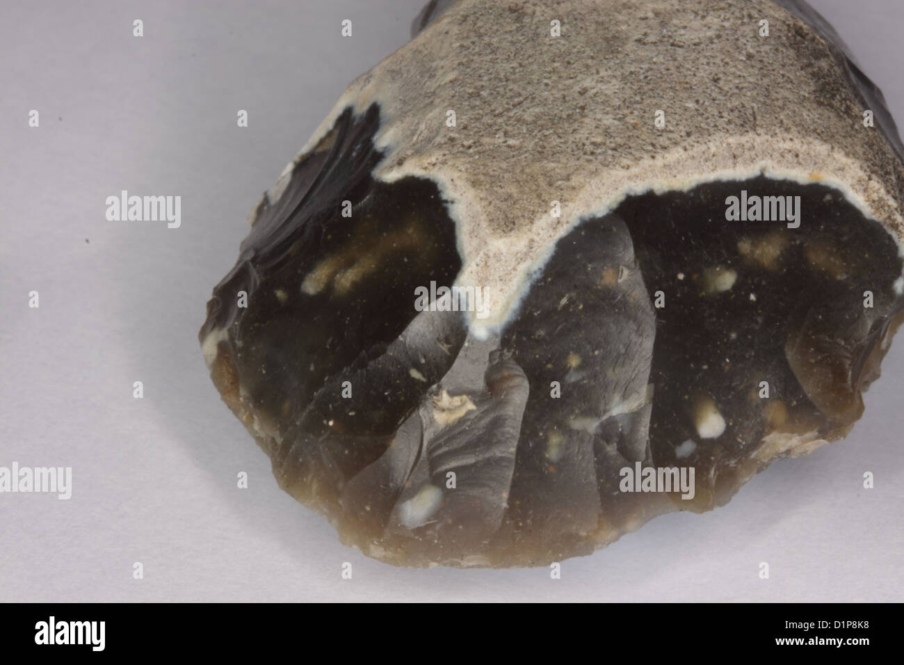 Flint Scraper Neolithic / Mesolithic. Macro shot showing manufacture marks and ridges of percussion. I found it, Essex UK 2012 Stock Photo