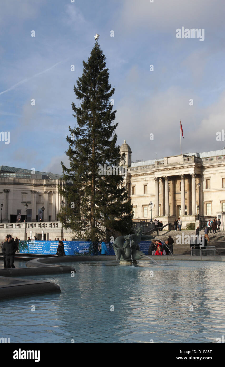 Christmas tree in Trafalgar Square London UK December 2012 Stock Photo