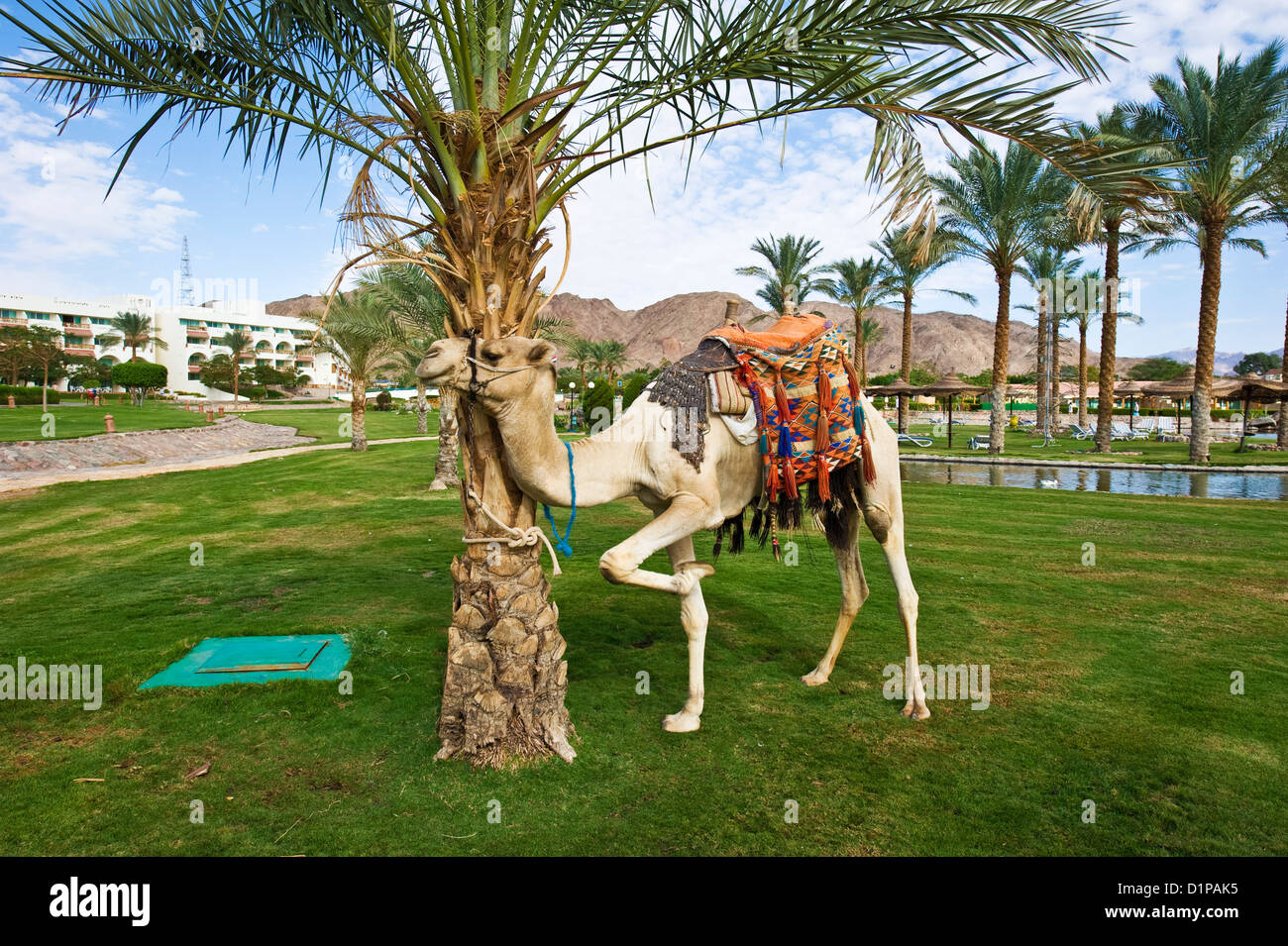 Moevenpick Resort in Taba, Bay of Aqaba. Stock Photo
