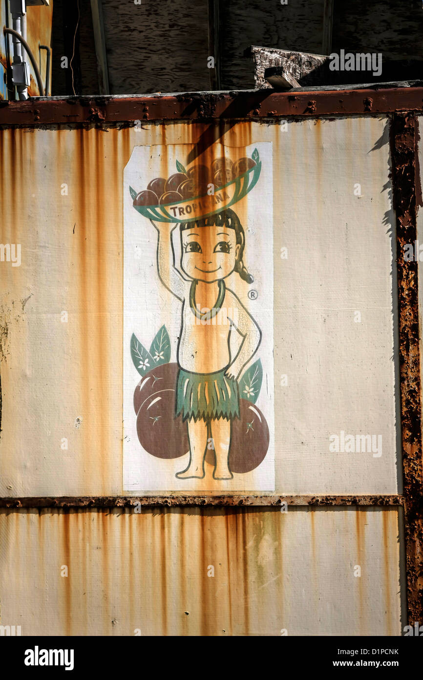 Old rusting disused Tropicana cargo container turned into a workshop at Cortez FL Stock Photo