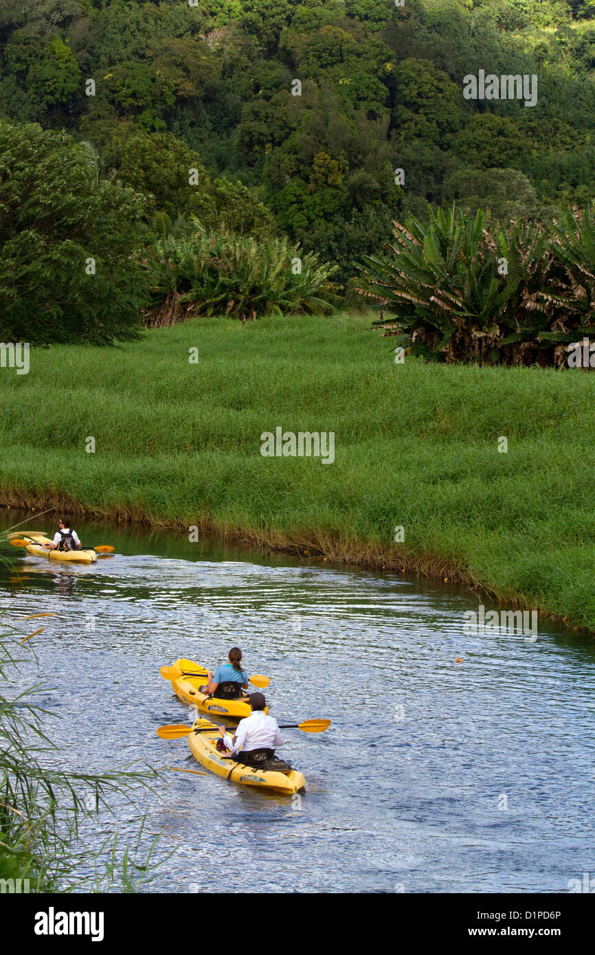 Kayaking the Hanalei River on the island of Kauai, Hawaii, USA Stock